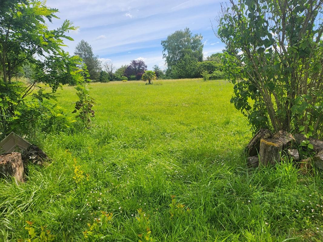 Vente Terrain à Azay-le-Rideau 0 pièce