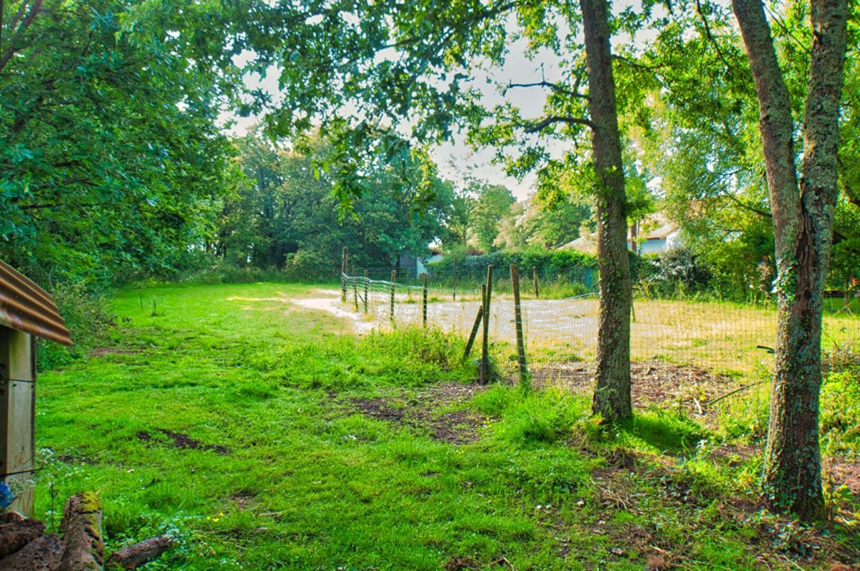 Vente Terrain à Vertou 0 pièce