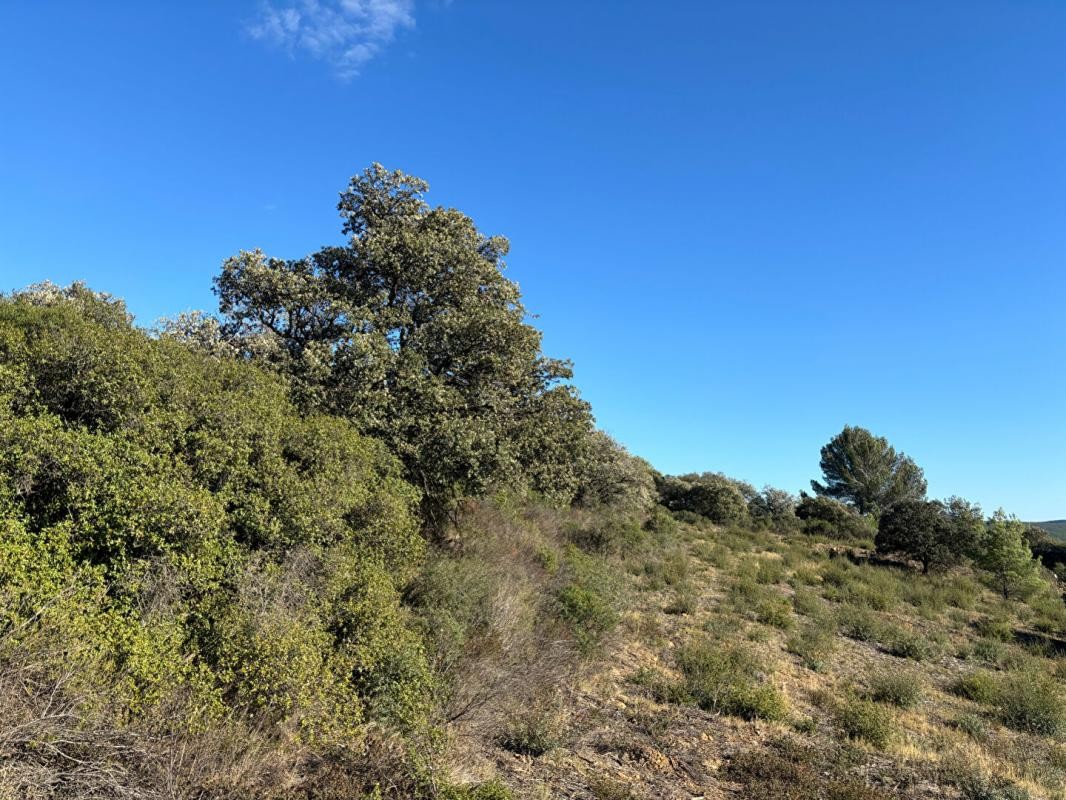 Vente Terrain à Narbonne 0 pièce