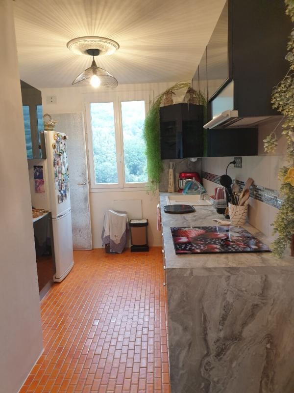 Vente Appartement à Amélie-les-Bains-Palalda 3 pièces