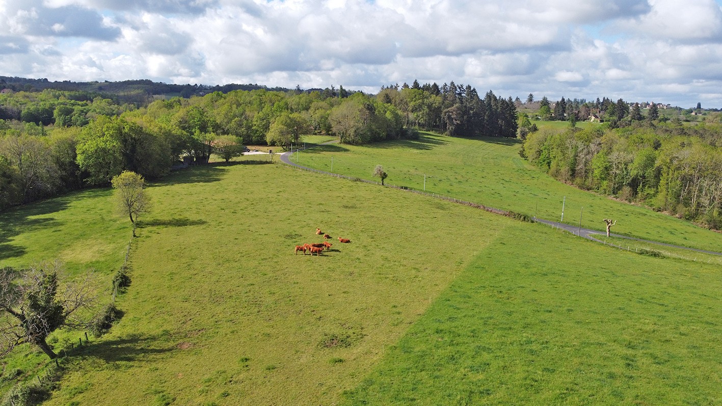 Vente Maison à Sarlat-la-Canéda 7 pièces