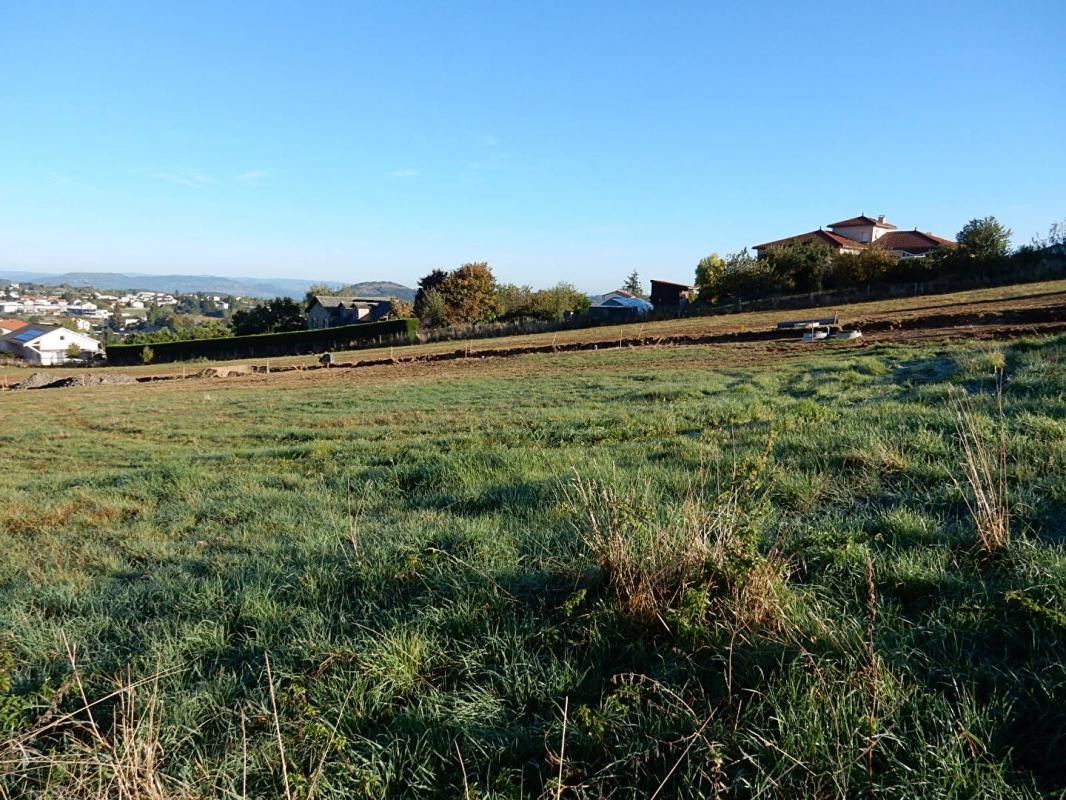 Vente Terrain à Yssingeaux 0 pièce