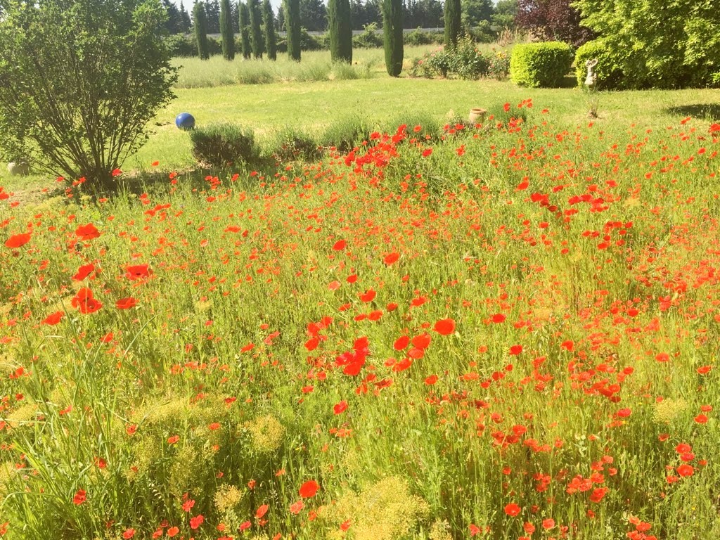 Vente Maison à l'Isle-sur-la-Sorgue 9 pièces