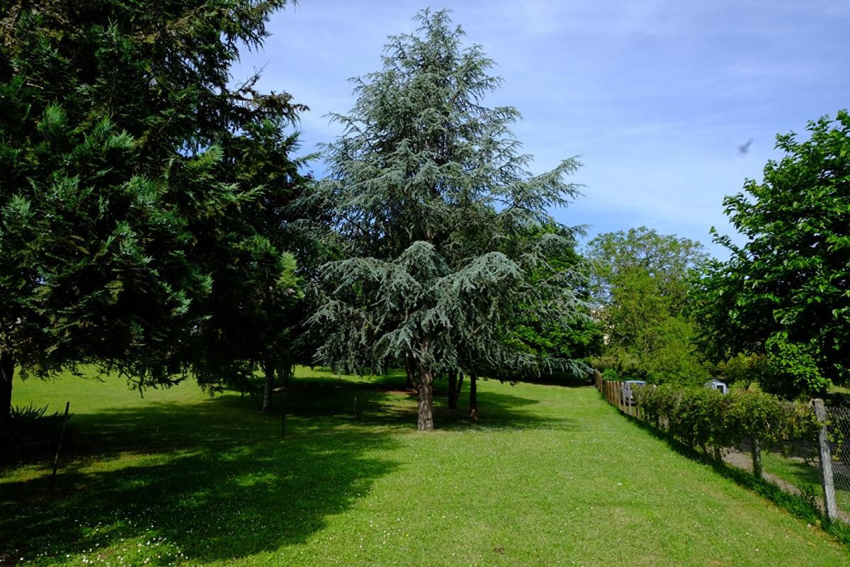 Vente Terrain à Montrichard 0 pièce