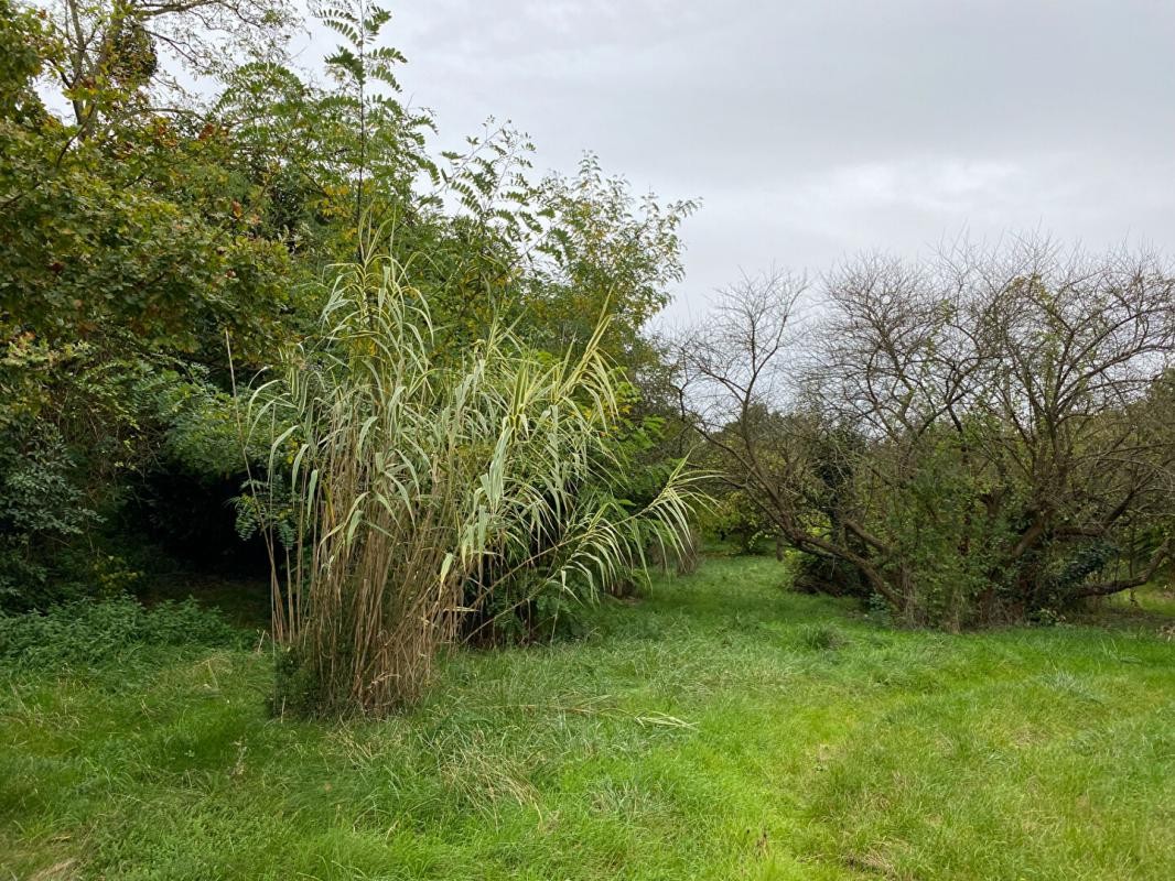 Vente Maison à Bouère 4 pièces