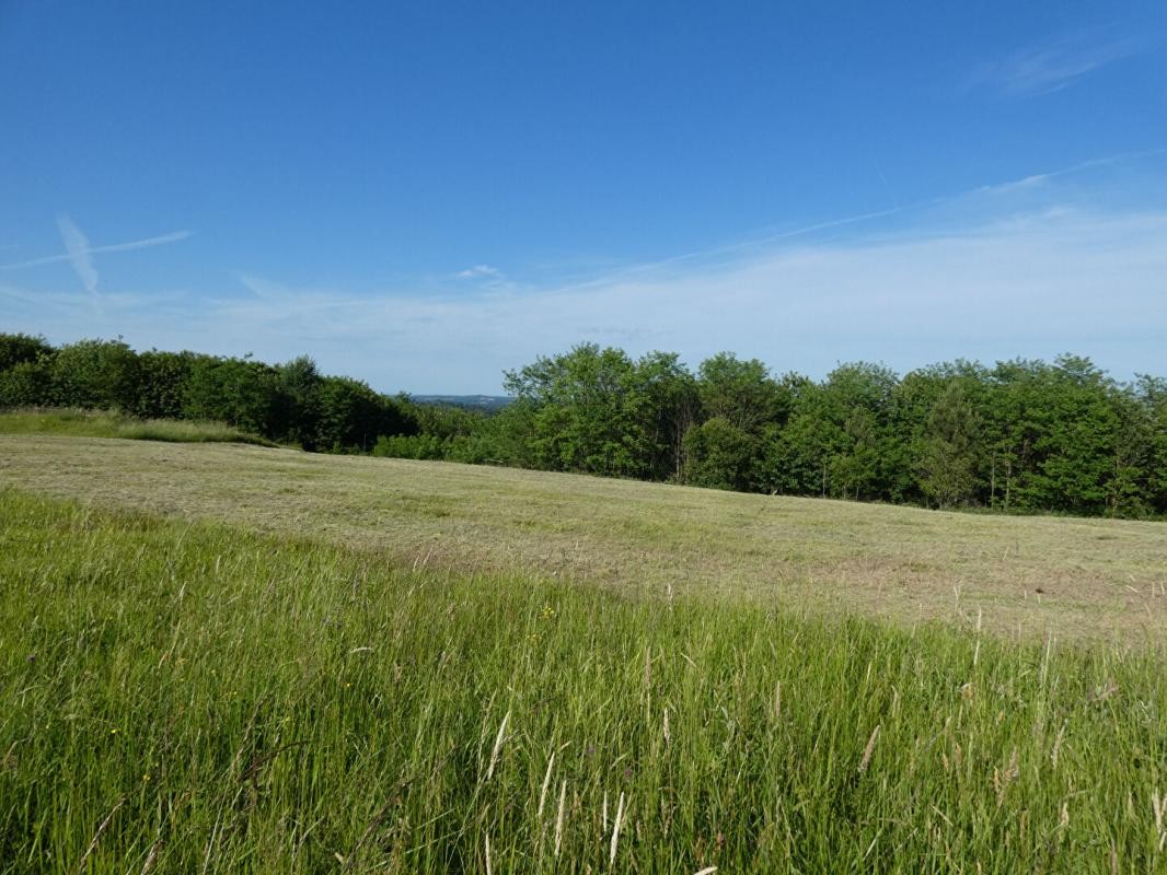 Vente Terrain à Sarlat-la-Canéda 0 pièce