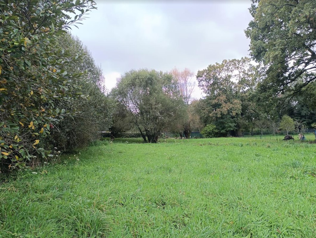 Vente Terrain à Châteauneuf-du-Faou 0 pièce