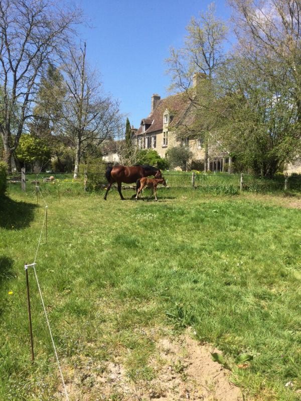 Vente Maison à Alençon 14 pièces