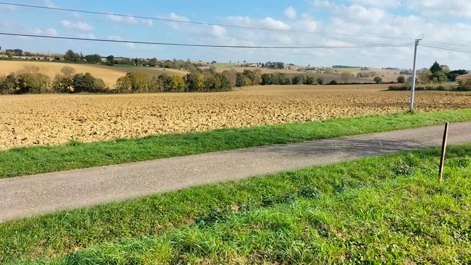 Vente Terrain à Fleurance 0 pièce