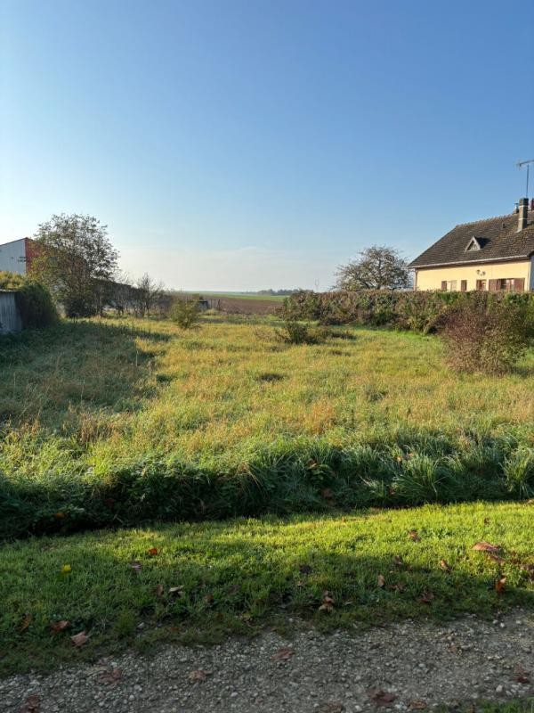 Vente Terrain à Torcy-le-Grand 0 pièce