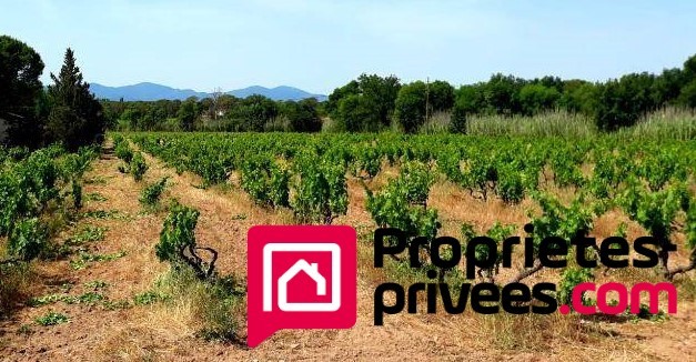 Vente Maison à Vidauban 8 pièces