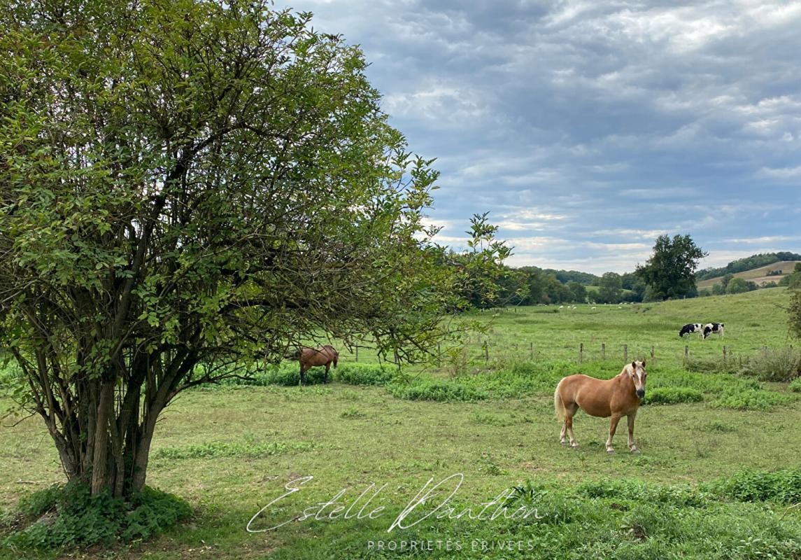 Vente Maison à Bourgoin-Jallieu 16 pièces