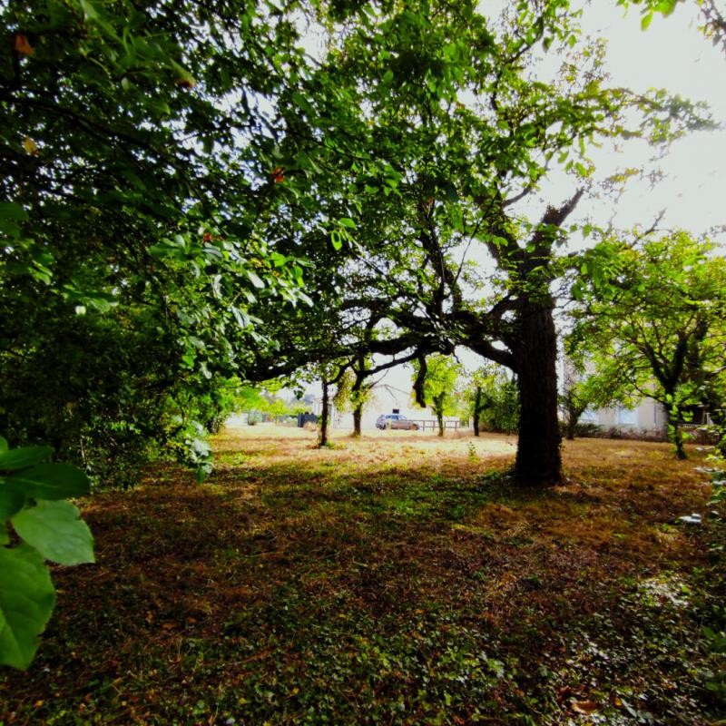 Vente Terrain à Saint-Julien-l'Ars 0 pièce