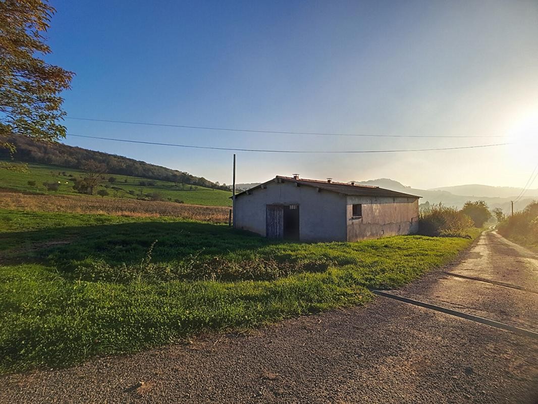 Vente Maison à Courchaton 10 pièces