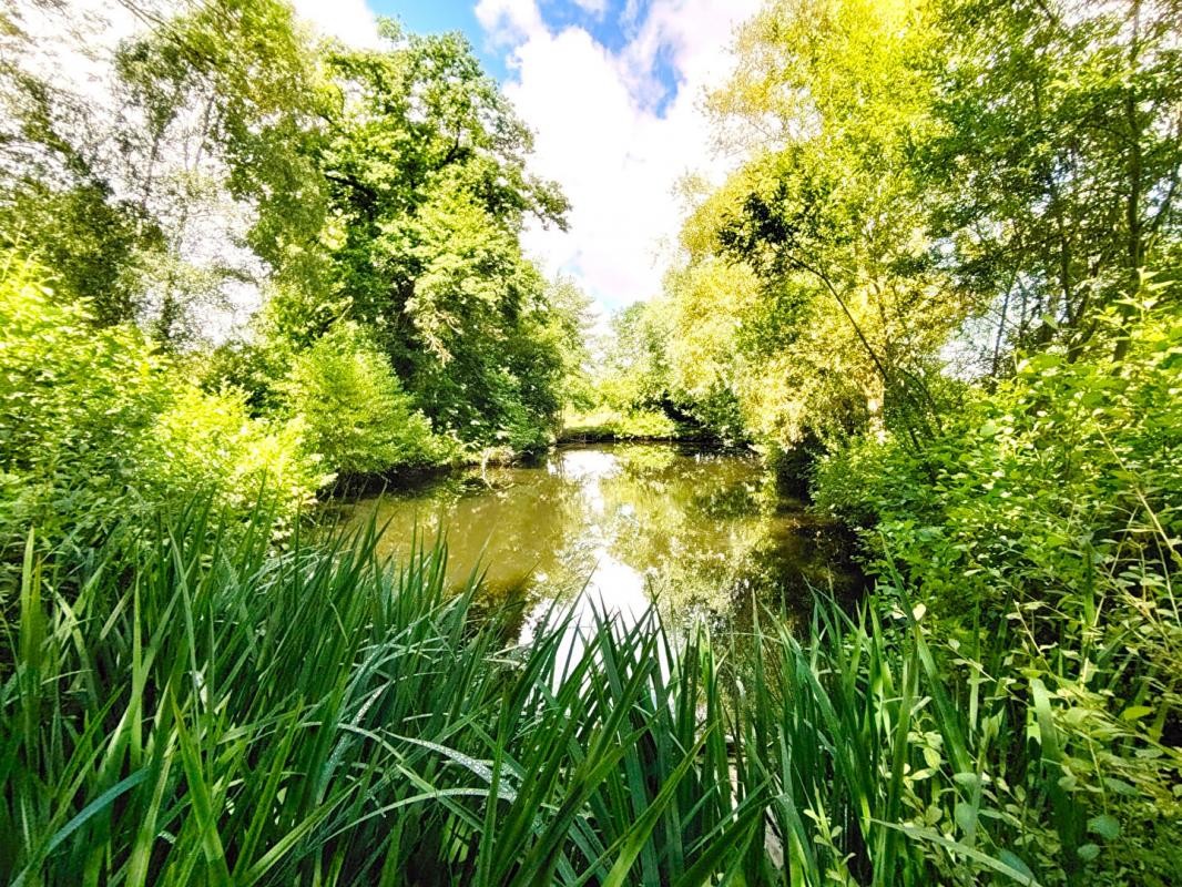 Vente Terrain à Maintenon 0 pièce