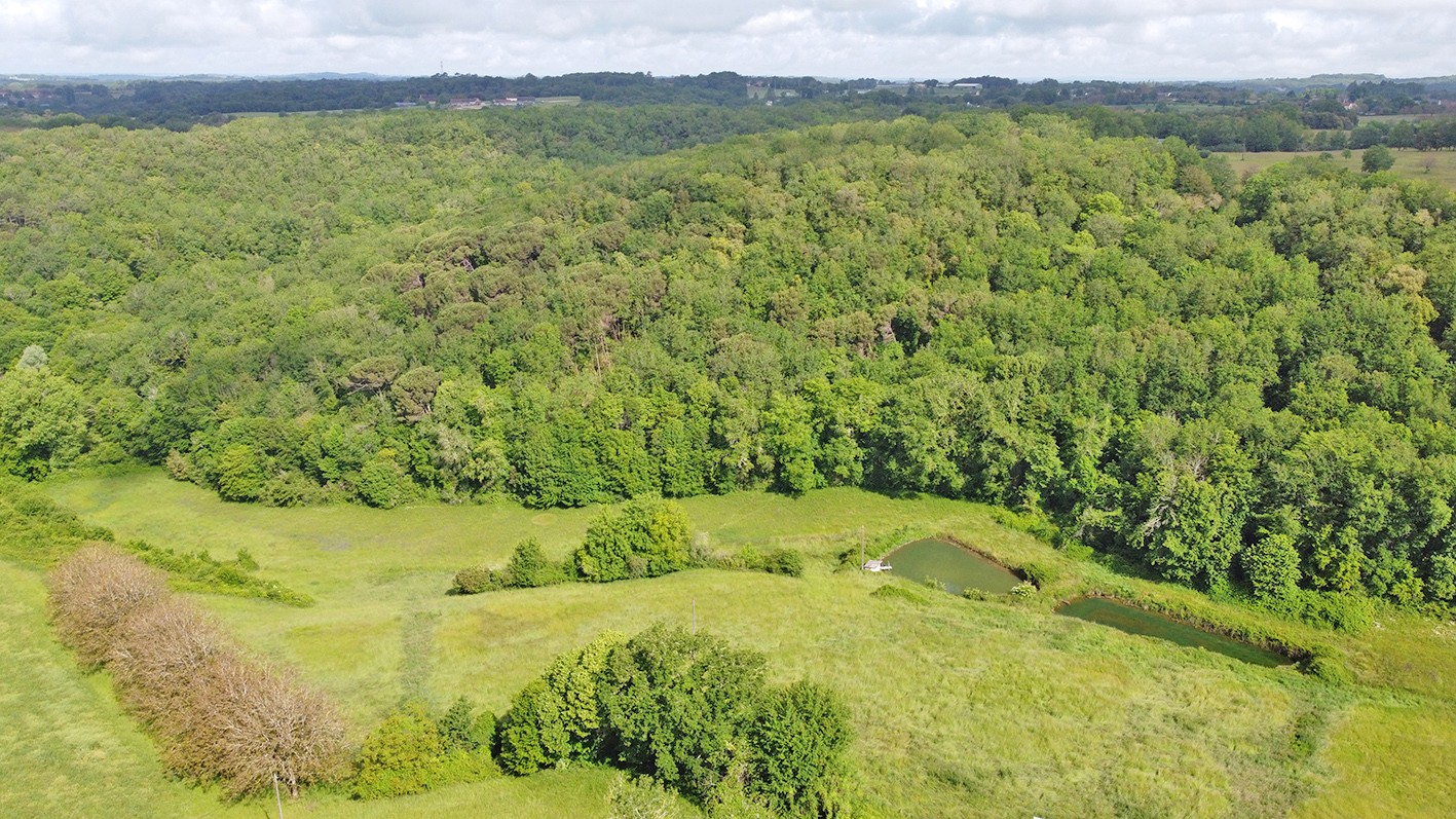 Vente Maison à Salignac-Eyvigues 6 pièces