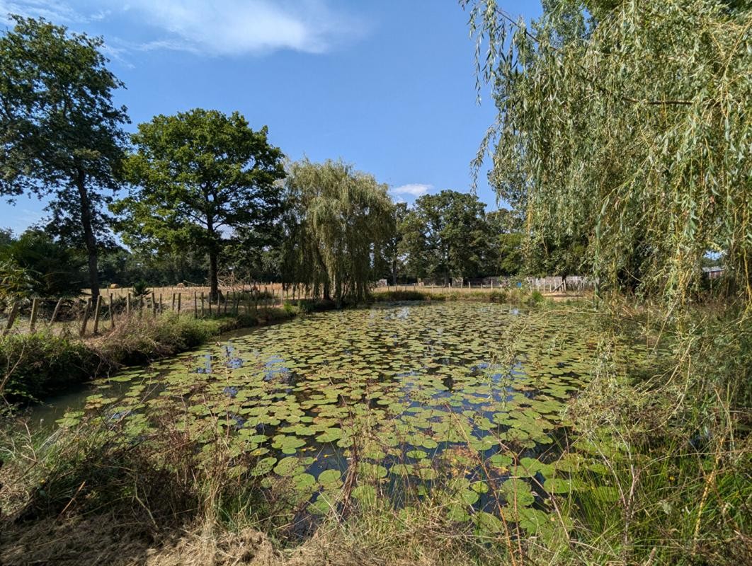 Vente Maison à Sainte-Anne-sur-Brivet 8 pièces