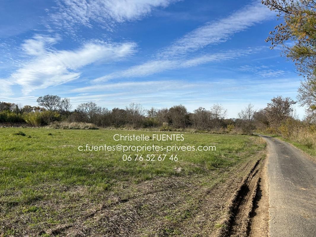 Vente Terrain à Loupian 0 pièce