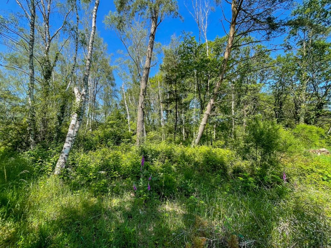 Vente Terrain à Romorantin-Lanthenay 0 pièce