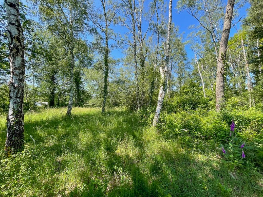 Vente Terrain à Romorantin-Lanthenay 0 pièce