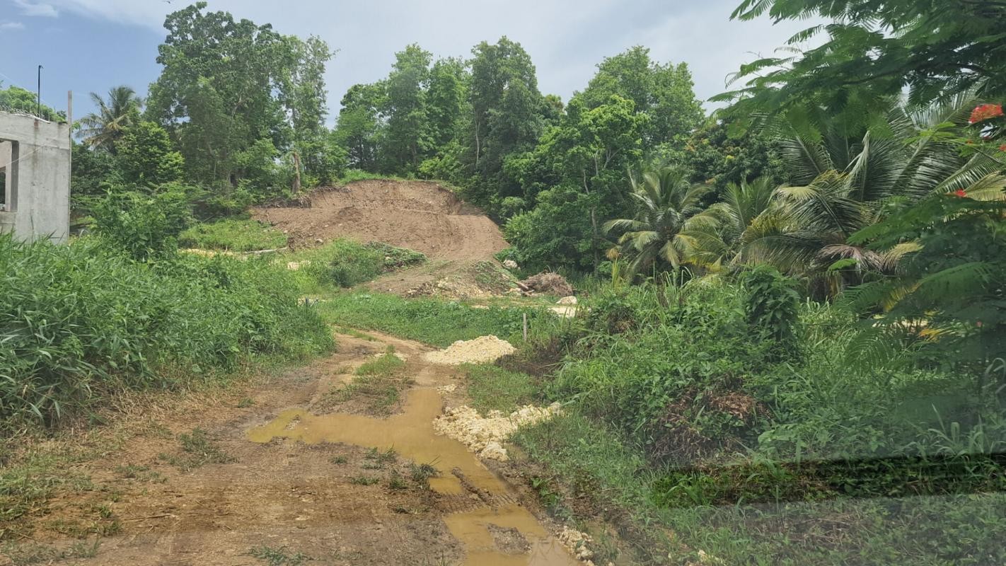 Vente Terrain à les Abymes 0 pièce