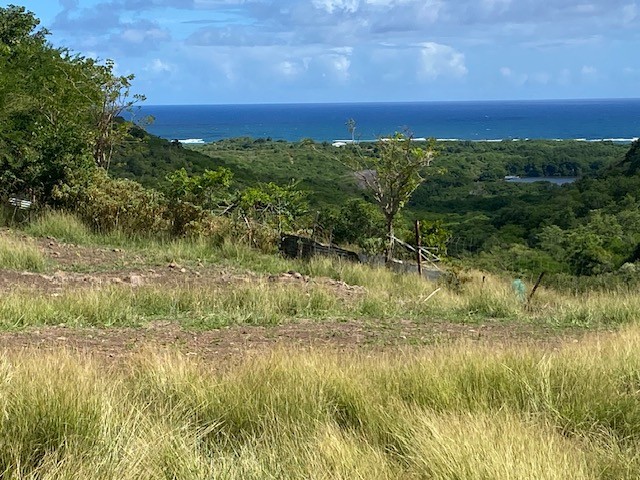 Vente Terrain à le Marin 0 pièce