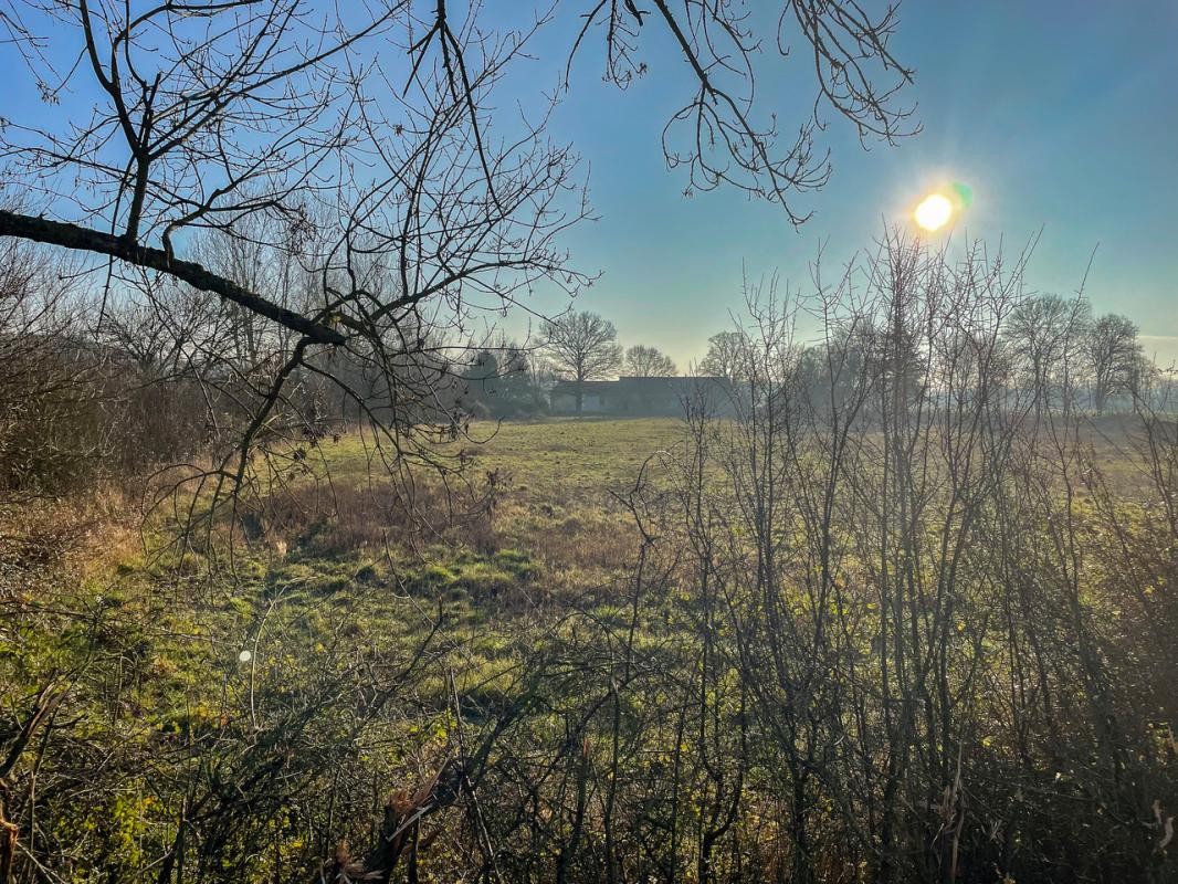 Vente Terrain à Châtres-sur-Cher 0 pièce