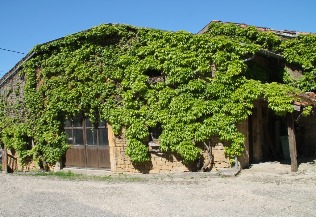 Vente Maison à Longuyon 8 pièces