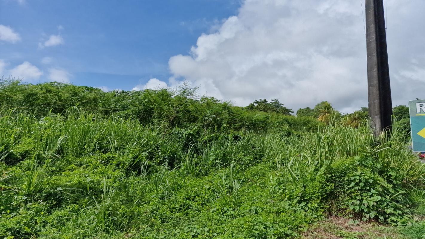 Vente Terrain à Capesterre-Belle-Eau 0 pièce