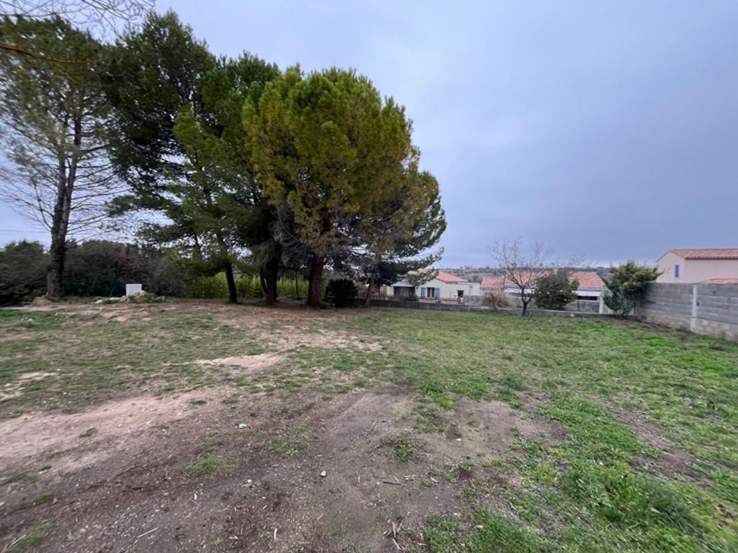 Vente Terrain à Saint-Pons-de-Mauchiens 0 pièce