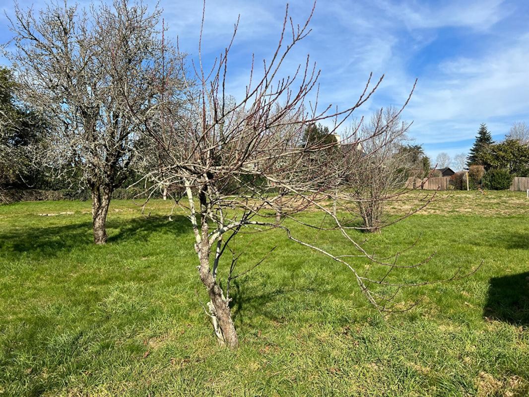 Vente Terrain à Baden 0 pièce