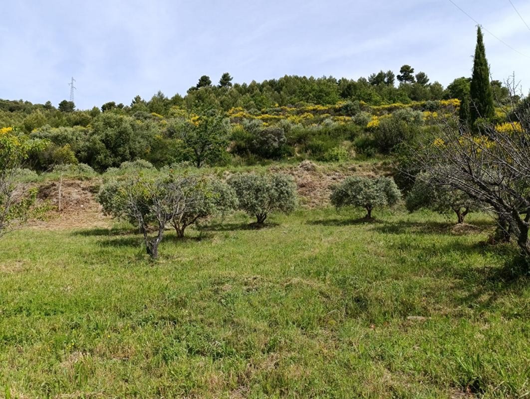 Vente Terrain à Manosque 0 pièce