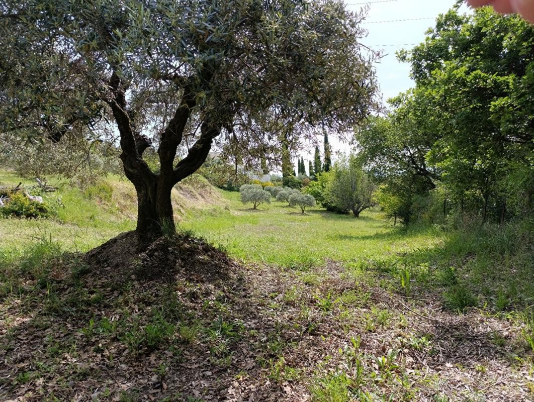 Vente Terrain à Manosque 0 pièce