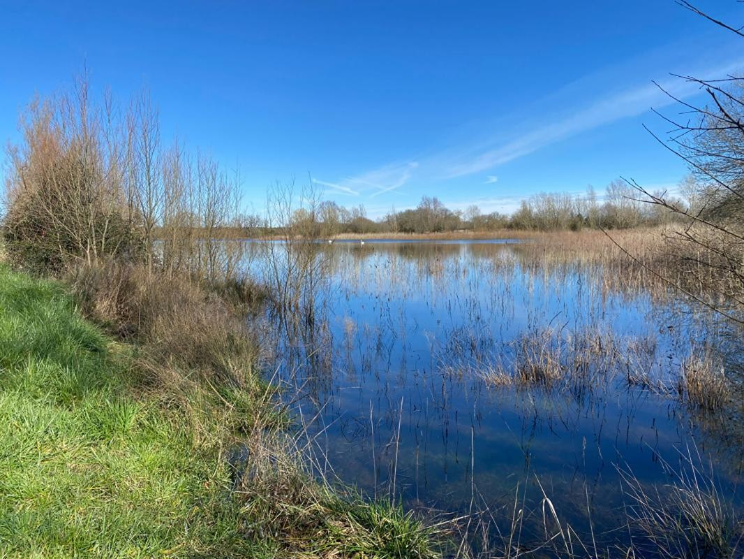 Vente Terrain à Martizay 0 pièce