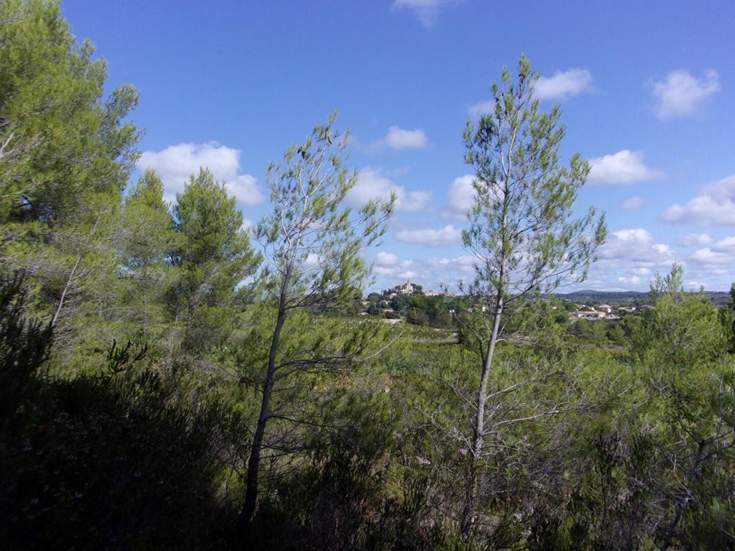 Vente Terrain à Saint-Pons-de-Mauchiens 0 pièce