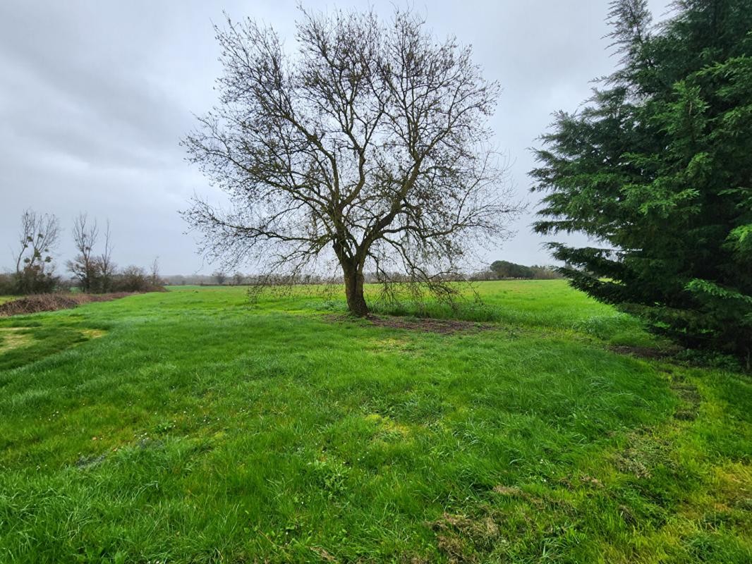 Vente Maison à Châtillon-sur-Indre 7 pièces