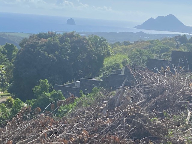 Vente Terrain à Sainte-Luce 0 pièce