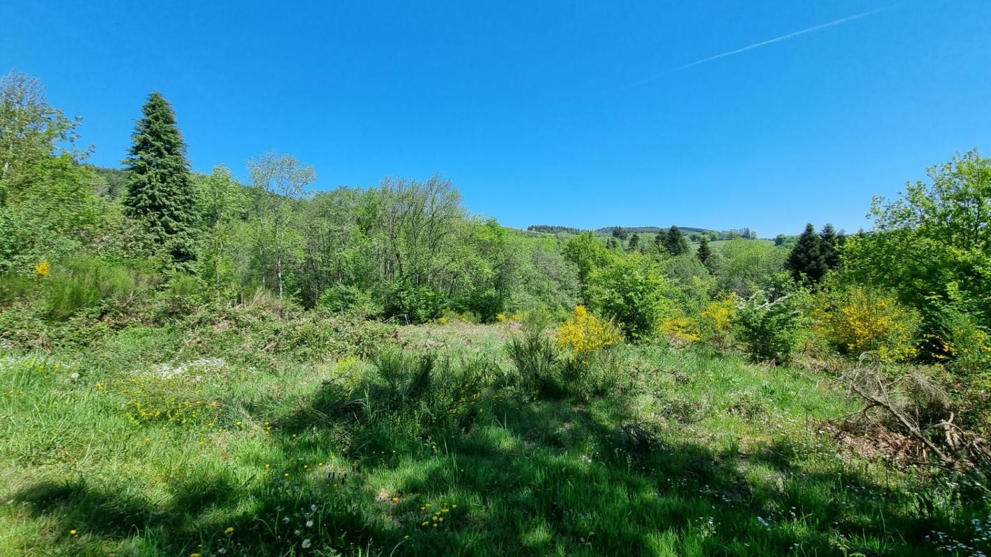 Vente Terrain à Saint-Rémy-sur-Durolle 0 pièce