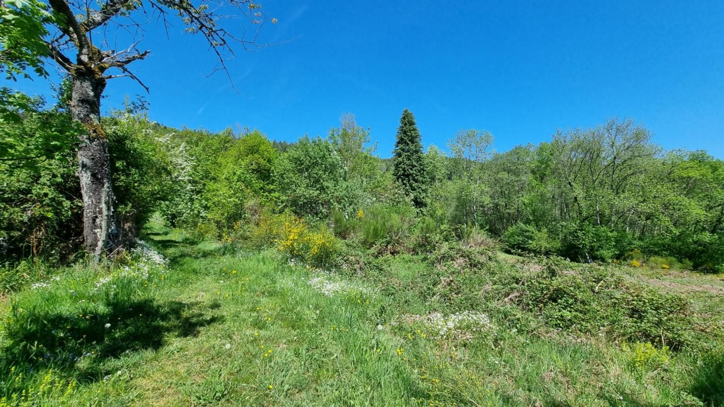 Vente Terrain à Saint-Rémy-sur-Durolle 0 pièce