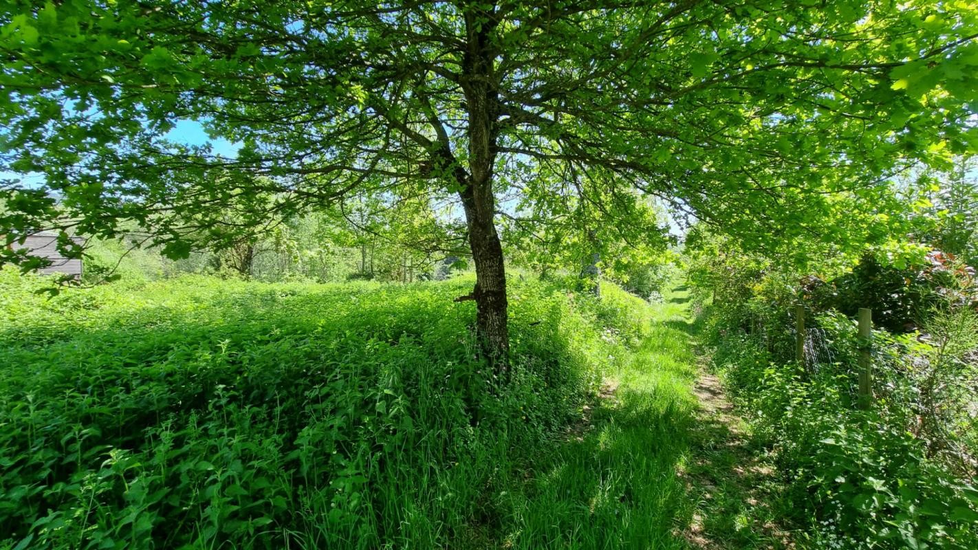 Vente Terrain à Saint-Rémy-sur-Durolle 0 pièce