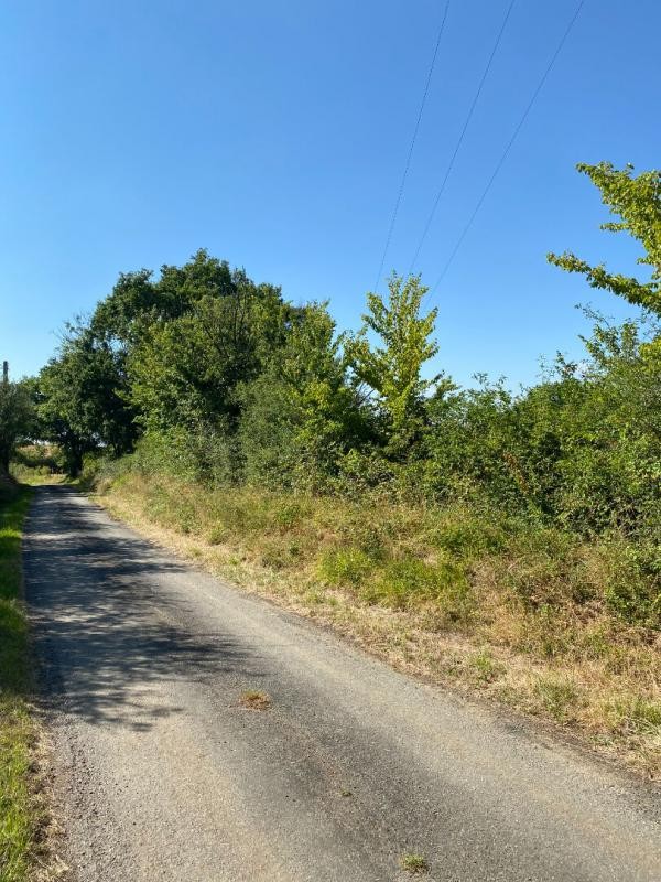 Vente Terrain à Bouesse 0 pièce