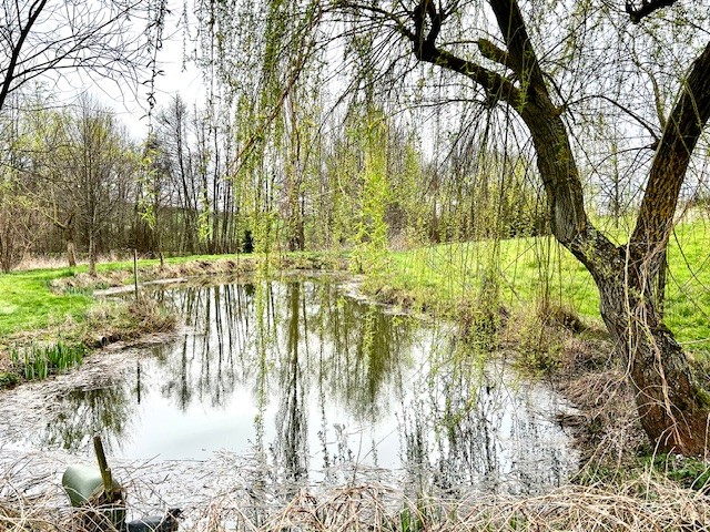 Vente Maison à Pontcharra-sur-Turdine 10 pièces