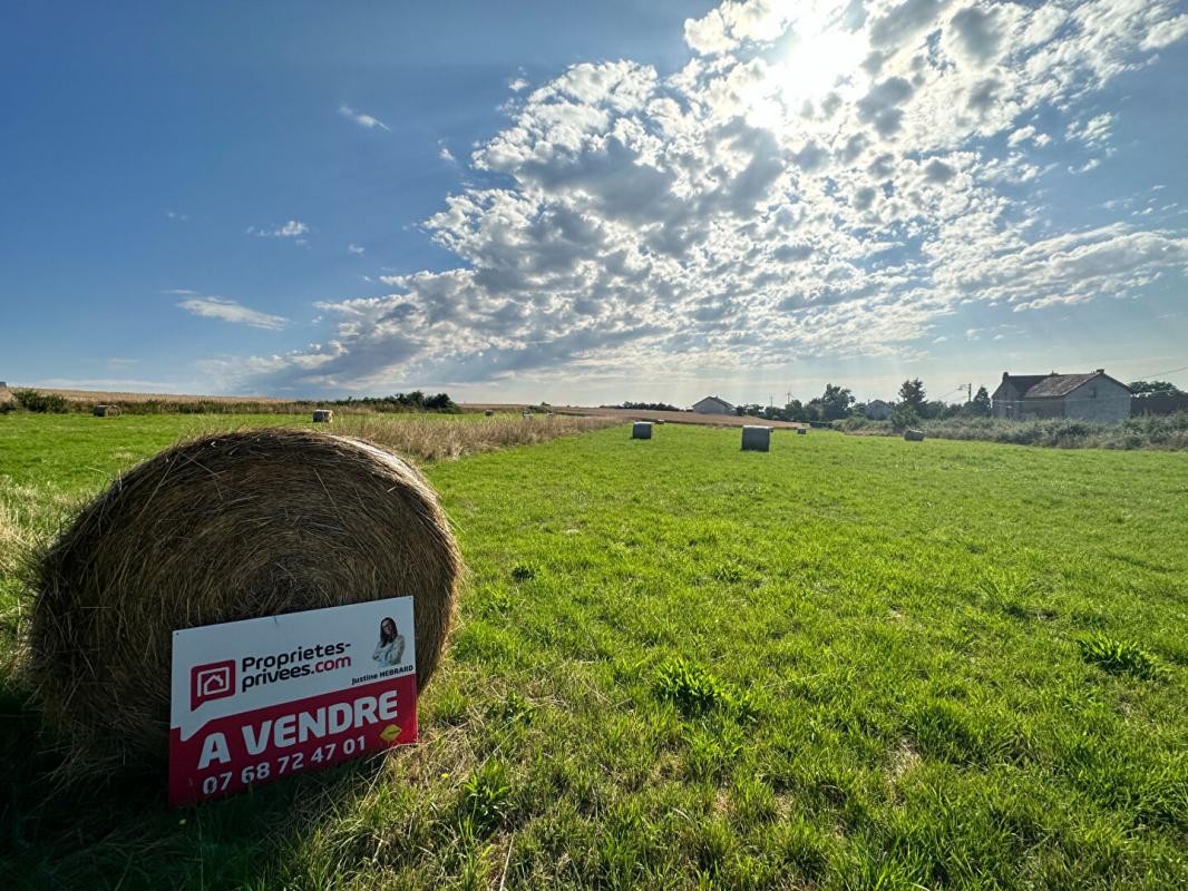 Vente Terrain à Saint-Hilaire-la-Croix 0 pièce