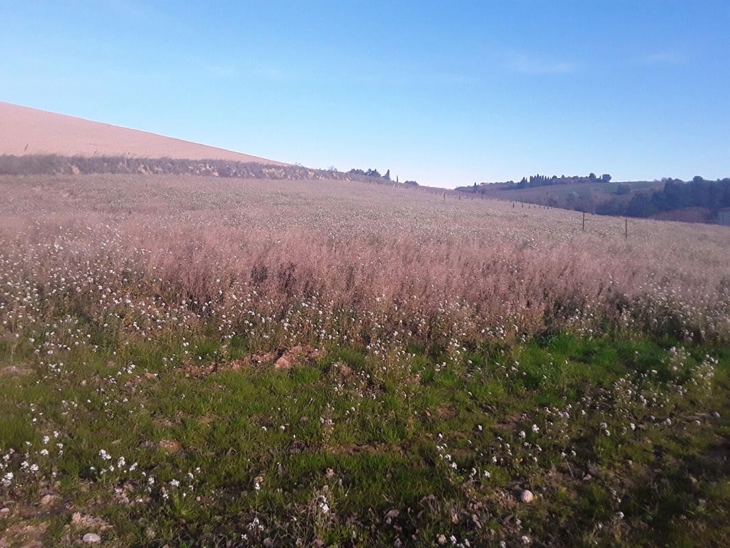 Vente Terrain à Limoux 0 pièce