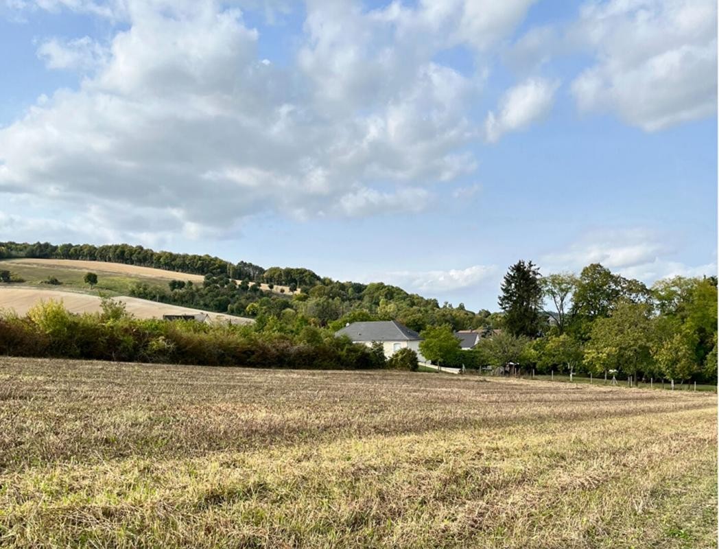 Vente Terrain à Souligny 0 pièce