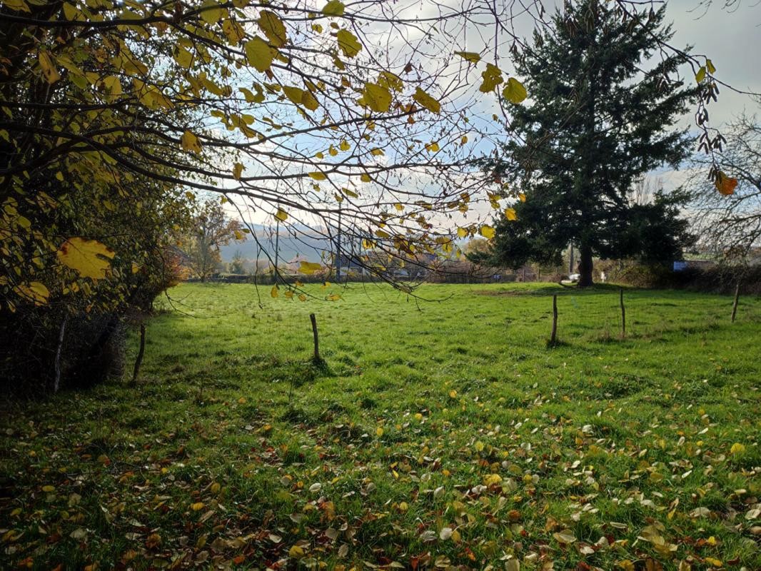 Vente Terrain à Rouvray 0 pièce