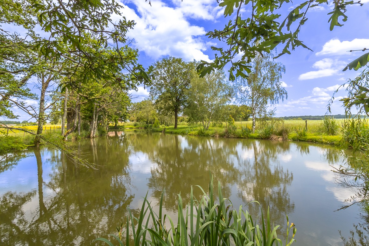 Vente Maison à Écueillé 12 pièces