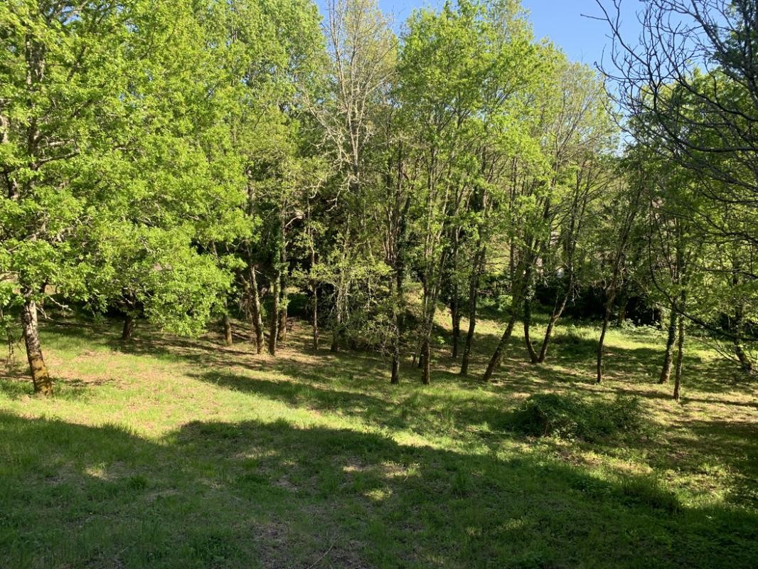 Vente Terrain à Sarlat-la-Canéda 0 pièce