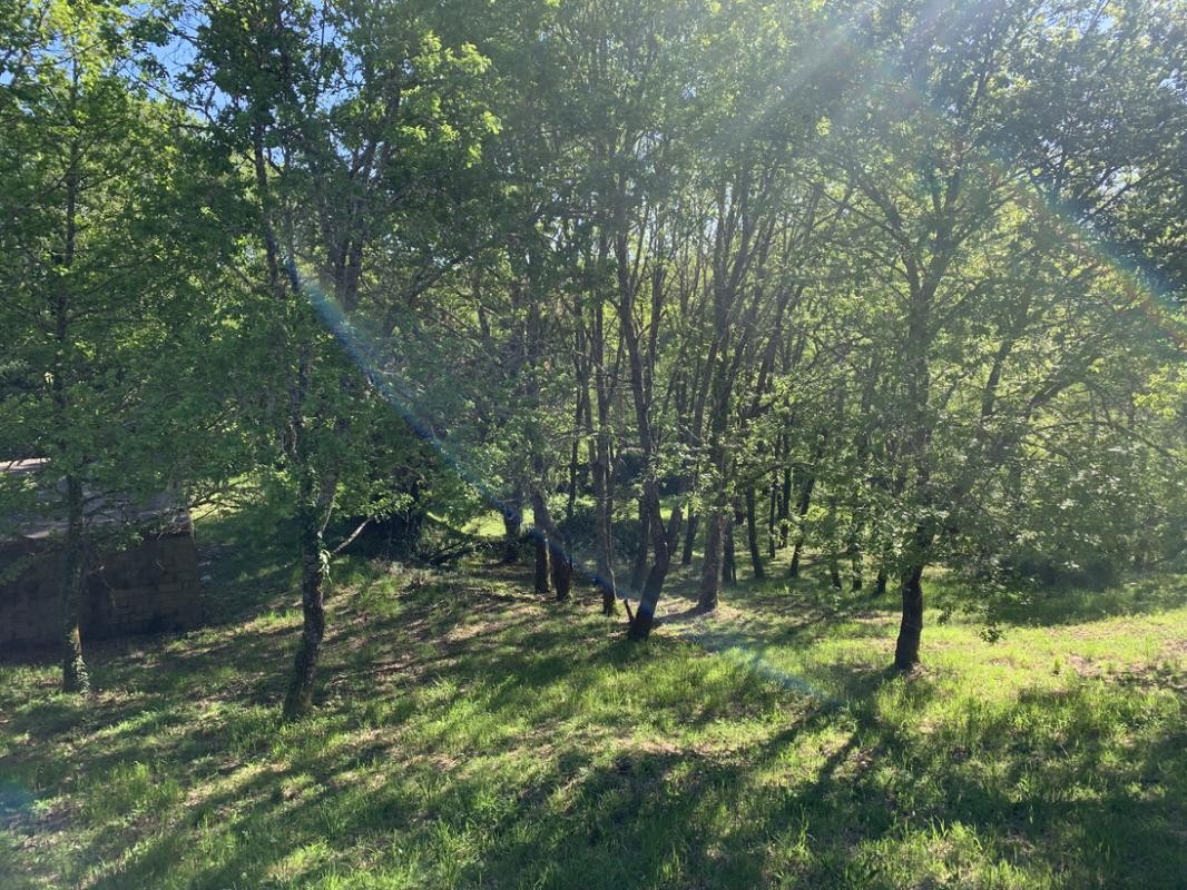 Vente Terrain à Sarlat-la-Canéda 0 pièce