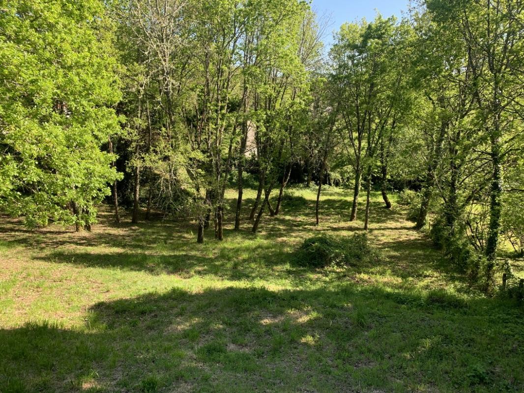 Vente Terrain à Sarlat-la-Canéda 0 pièce